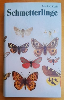 Schmetterlinge / Motýle