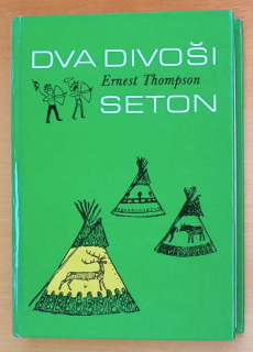 Dva divoši