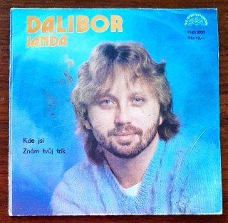 Dalibor Janda LP Platňa - single play