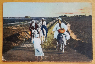Egypt - The return from the fields / Návrat z polí