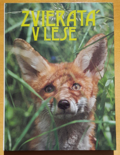 Zvieratá v lese