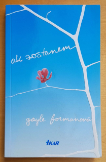 Ak zostanem / 1. diel série Zostaň so mnou