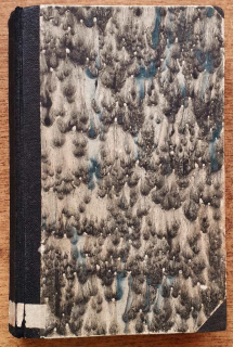 Adam Šangala / Román