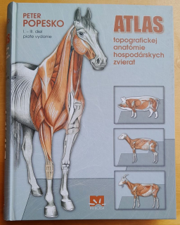 Atlas topografickej anatómie hospodárskych zvierat 1.- 3. diel / piate vydanie