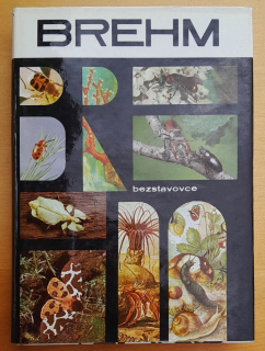 Život zvierat 1. Bezstavovce / Brehms Tierleben