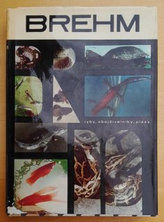 Život zvierat 2. Ryby, obojživelníky, plazy / Brehms Tierleben