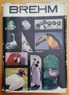Život zvierat 3. Vtáky / Brehms Tierleben