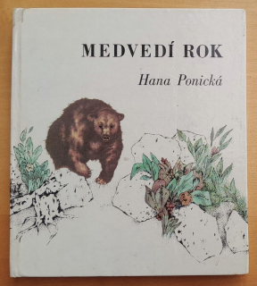 Medvedí rok