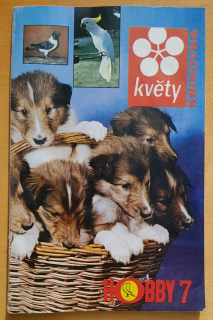 Hobby 7 / Knihovna Květy