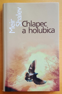 Chlapec a holubica