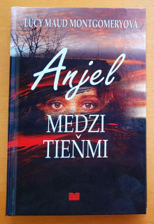 Anjel medzi tieňmi