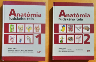 Anatómia ľudského tela 1. 2.