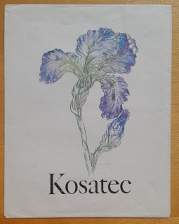 Obálka na dopisné papiere Kosatec - Dopisová mapka Kosatec