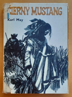 Čierny mustang