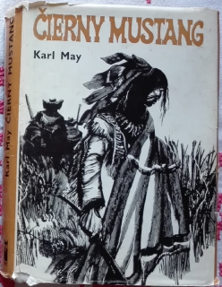 Čierny mustang