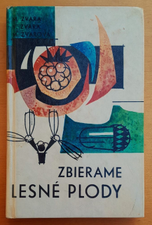 Zbierame lesné plody