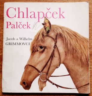 Chlapček Palček - Edícia Dukátiky