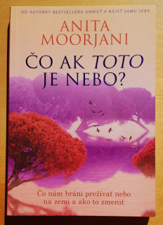Čo ak toto je nebo? - Od autorky bestselleru Umrieť a nájsť samu seba