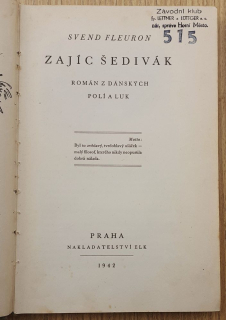 Zajíc Šedivák
