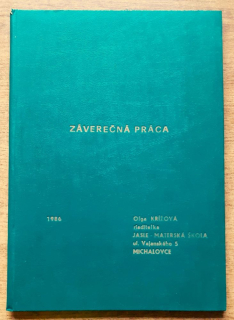 Záverečná práca - ako som zriaďovala Jasle