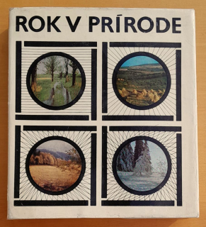Rok v prírode