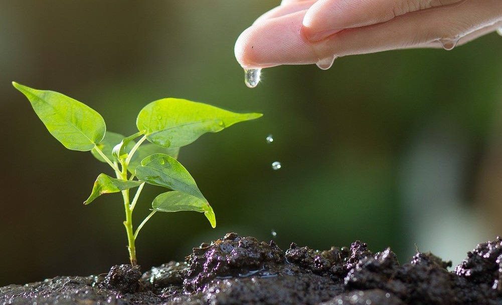 Prichádza jar, knihy pre pestovateľov a záhradkárov